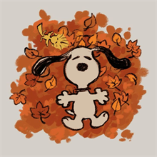 Готовимся к осеннему сезону🍂